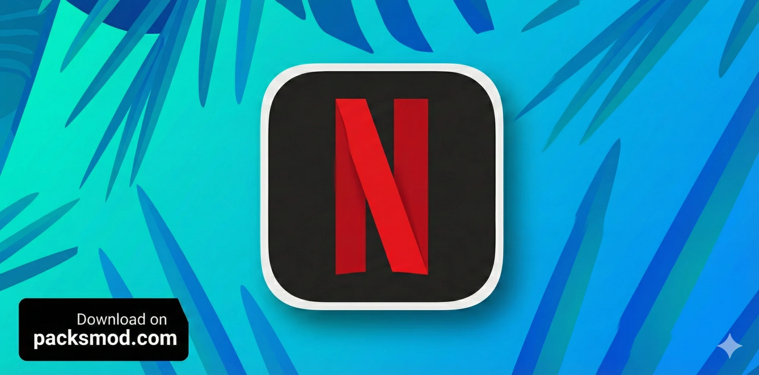Netflix premium